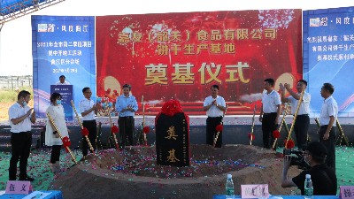 mg����ͻ�����޹�˾�عس������ص������Բ���ɹ���