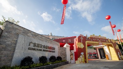 ��ݺǨ�¼���Ⱥ�ǻ�ۡ�mg����ͻ�ƶ�ʻ���ⷢչ���£�