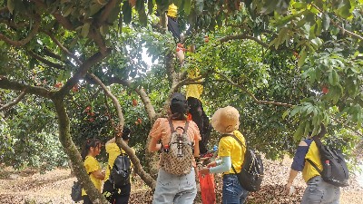 ���縣����mg����ͻ����֯ժ��֦�